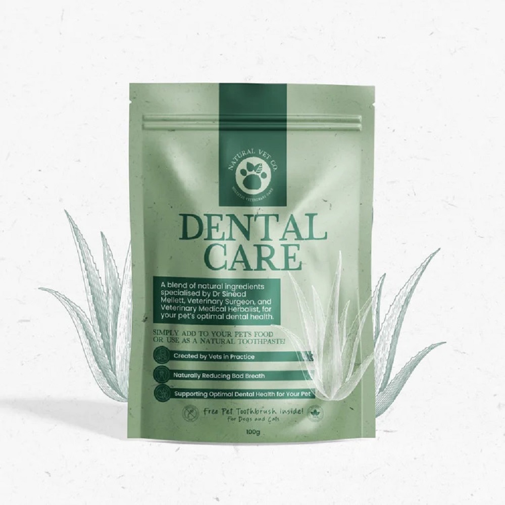 Dental Care